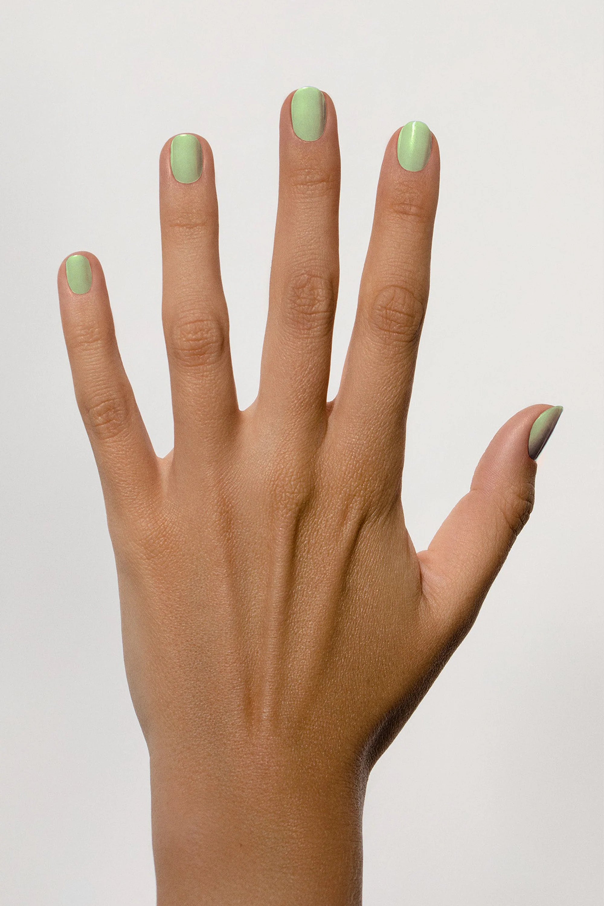 Karolin van Loon | 18 Fleur de Menthe